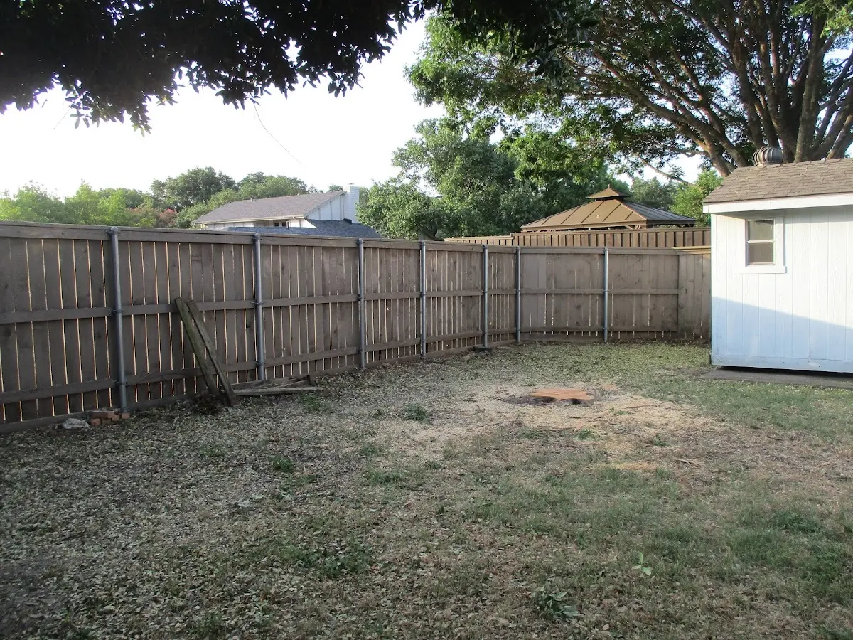 Cleared yard after professional tree removal in Essexville