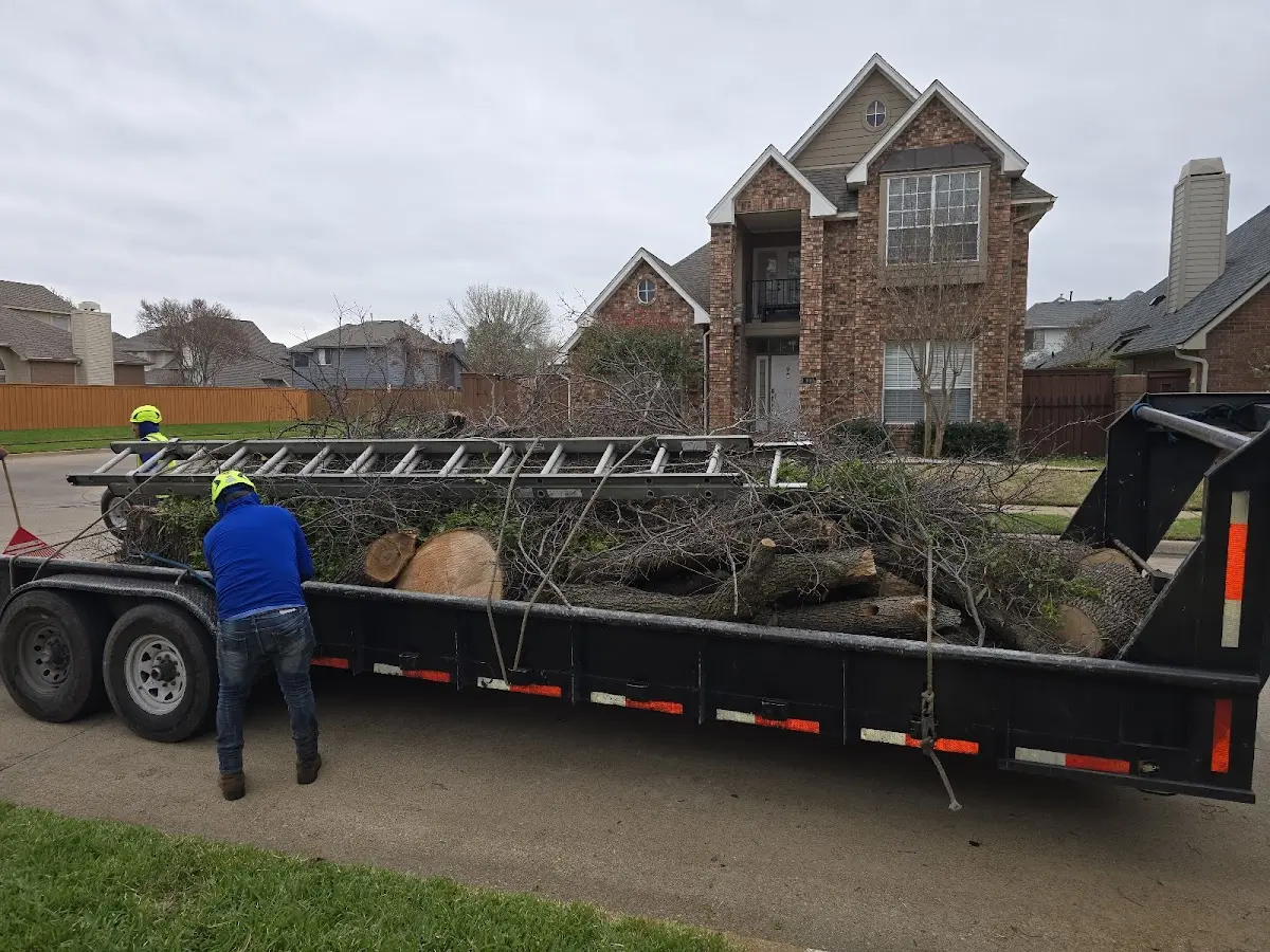 Expert Tree Removal with proper safety equipment in Essexville